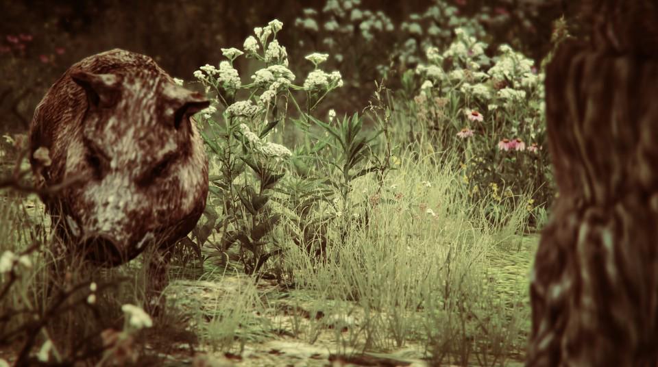 snapmaticman's tweet photo. The nature @MakaveliCinema @Wendy_Rich_UK @Ianharvey_ @GTAJunkies @chocolate_oishi @diamondbiscutz #GTAPhotographers http://t.co/io7fcb8EFY
