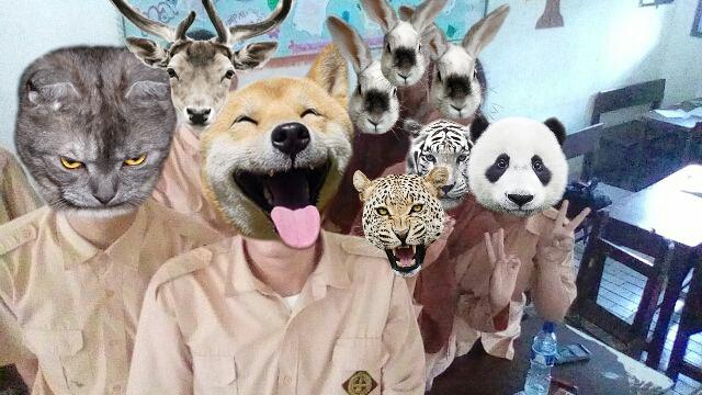 Masyarakat_IXF's tweet photo. Animals🐶🐰🐷 http://t.co/kMLLJ78Skd