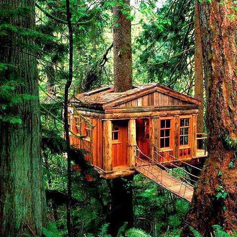 _Paisajes_'s tweet image. La casa que todos soñamos cuando éramos niños. Washington, Oregon.