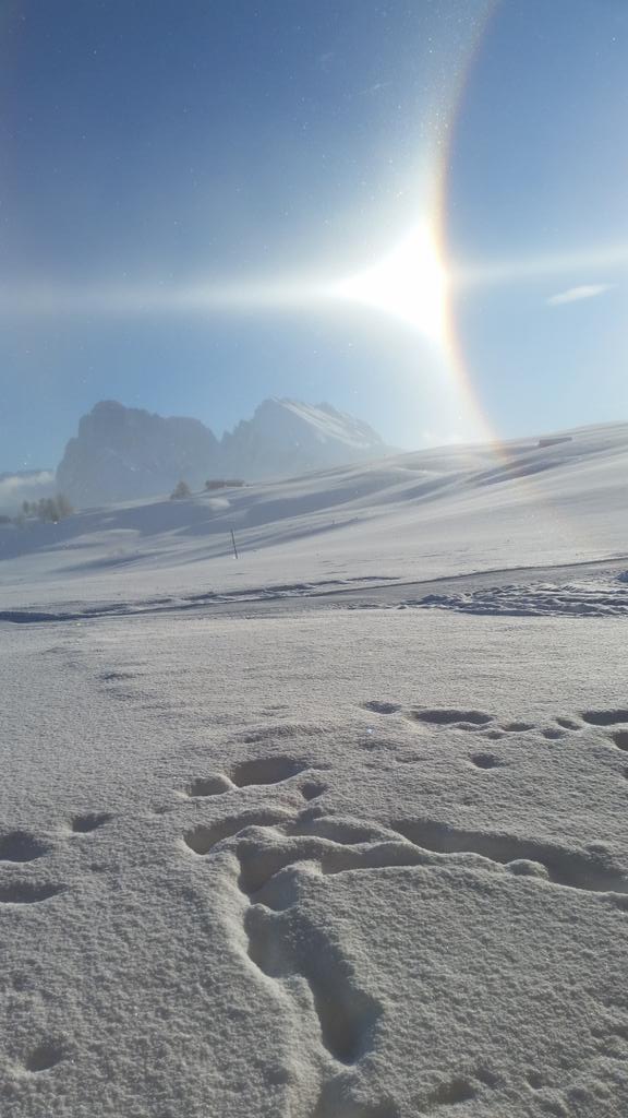 OlafTufte08's tweet image. Good morning from @seiseralm 
@Roforbundet 
#cannotcomplain