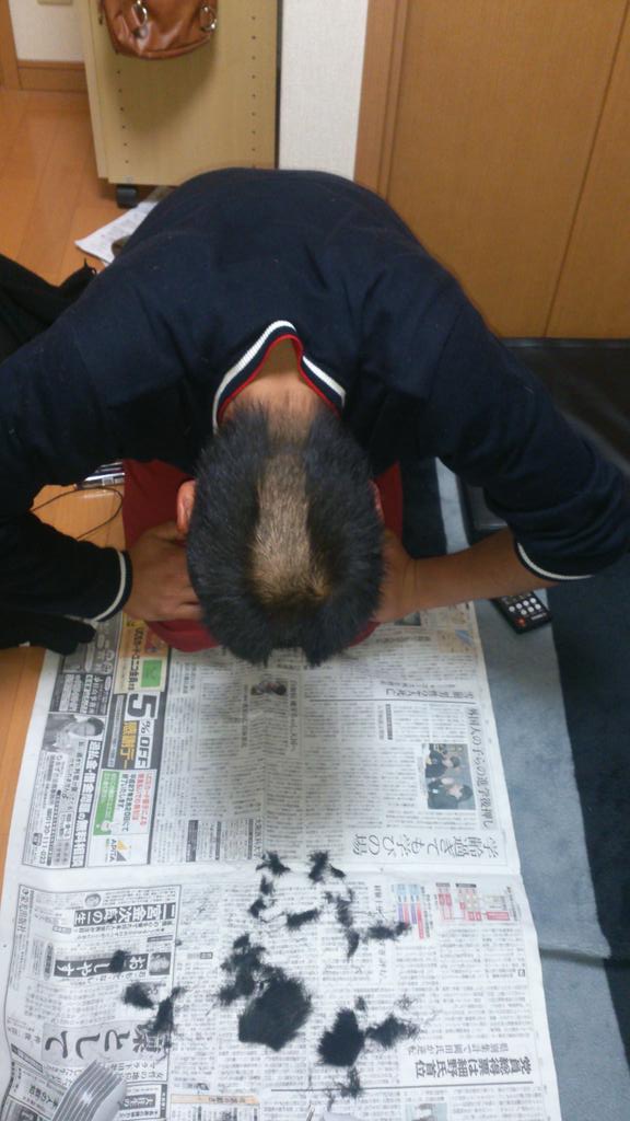 最後の写真おしりかじり虫に似てると思ったらrt