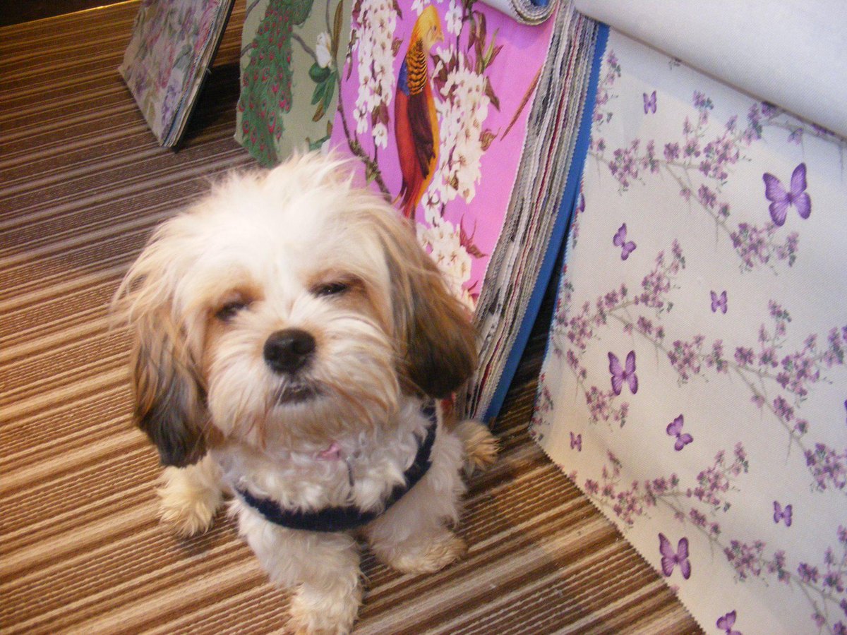 Copeland Interiors tweet media