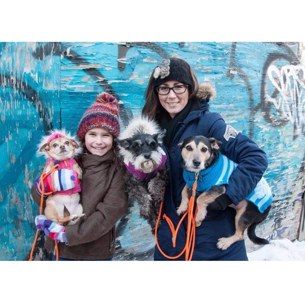 RedemptionDogs's tweet photo. From Kansas to Toronto! https://t.co/evuuDHe46y #redemptiondogs #adoptdontshop #dogsoftwitter #dogsofinstagram http://t.co/sk7gYb0RhM