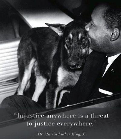 We couldn't agree more! #MLKDay #justiceforall #loveallcreatures