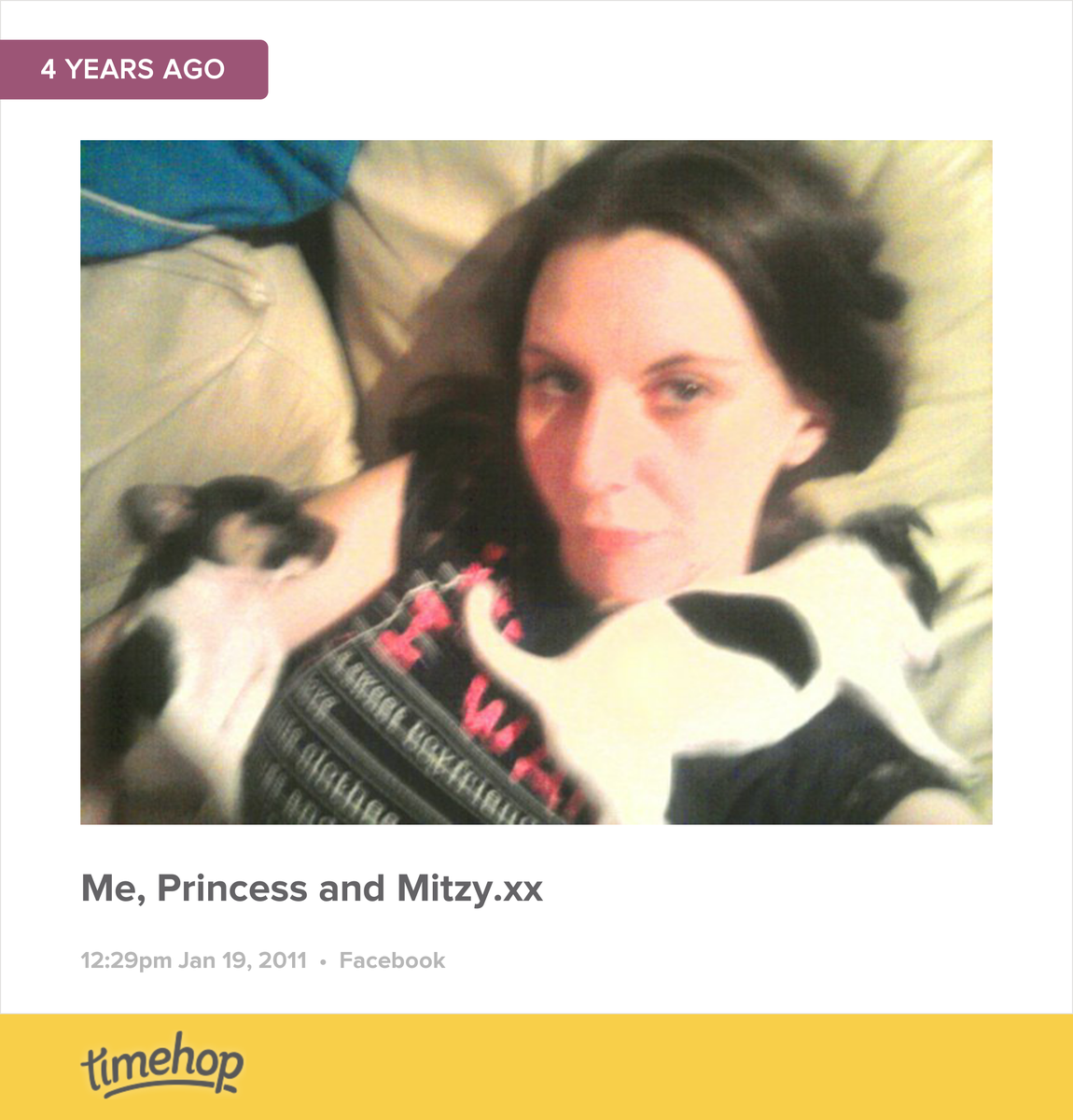 donnafxx's tweet photo. When I first got princess n mitzy 💖💖 http://t.co/BIlRGfCS7i http://t.co/2EgXXKj71M
