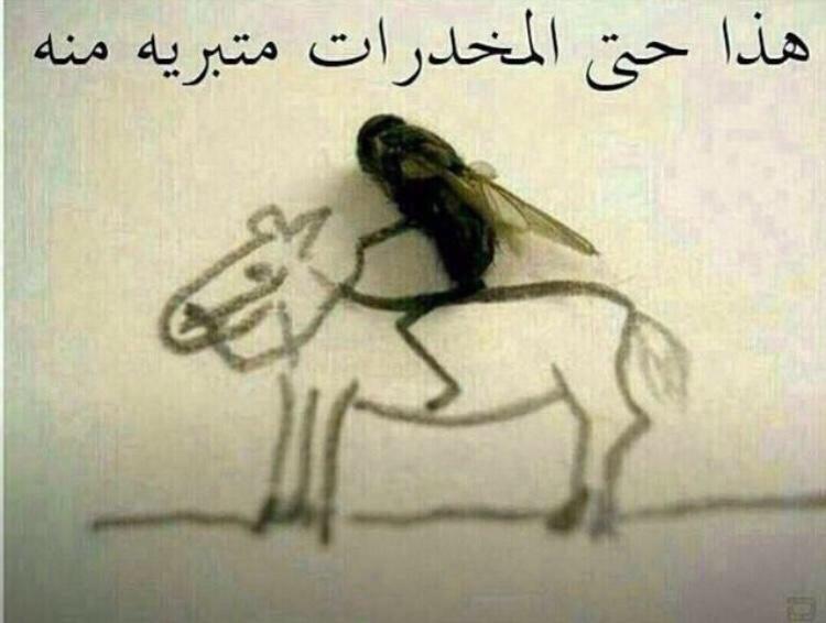 لله المستعان