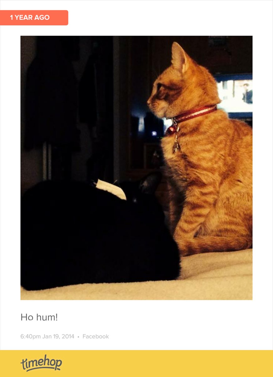 sturnos3's tweet photo. Exactly 1 year ago today! (via @timehop) http://t.co/nmDFCaw5AT http://t.co/JnIyMQvFQP