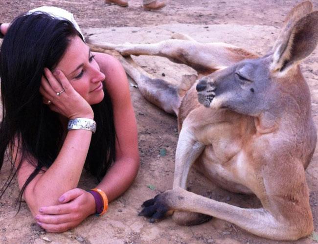 RANDOM FACT: Male kangaroos are known to flex their muscles to impress female [kangaroos].