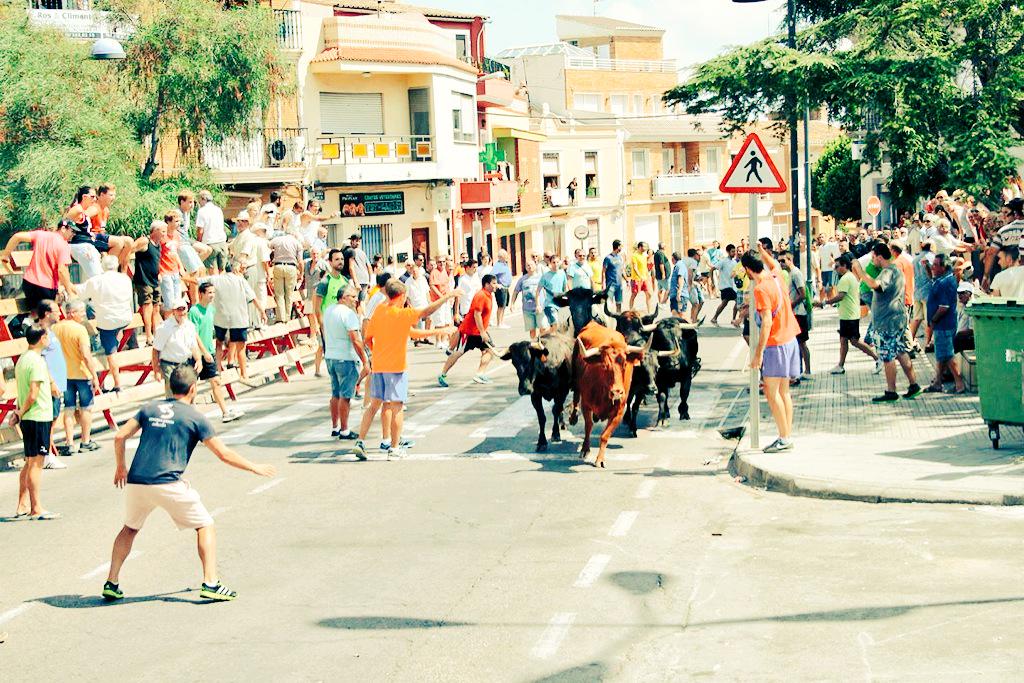 #CulturaDeBou nuestra cultura, nuestra tradición, nuestra pasión.