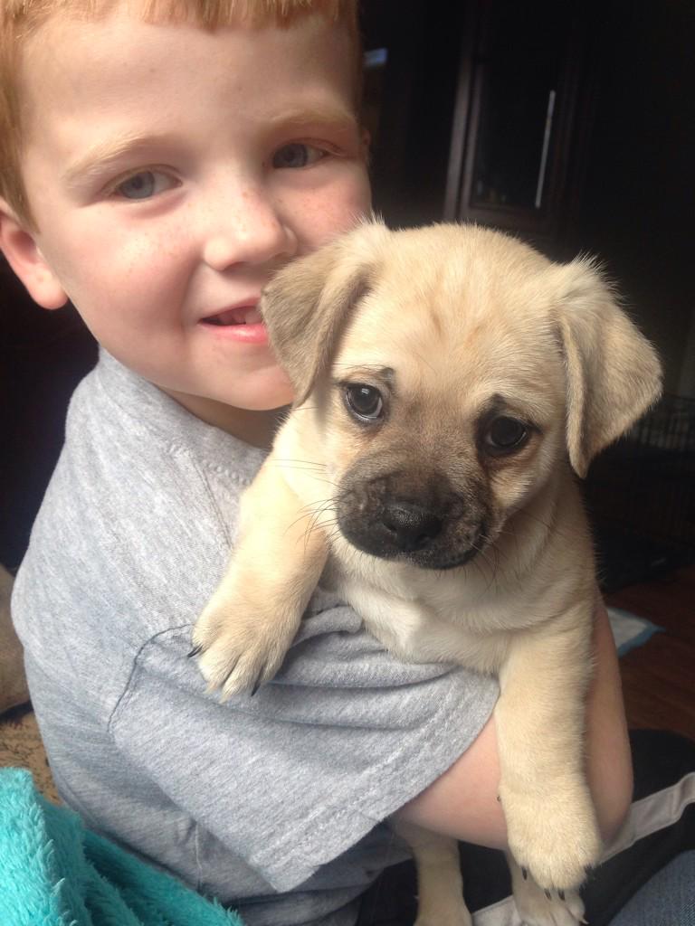 hillary_dean's tweet photo. My two boys!!! #Koop&amp;Charlie http://t.co/zroUZMoP8a