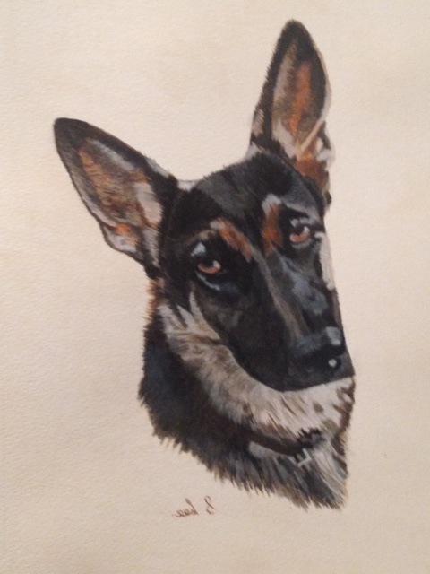eapparel's tweet photo. picture perfect portrait of Tilly, fabulous water colour by Sue Lee Pet Portraits (great christmas pressi for mum) :) http://t.co/lbI5yF58gx