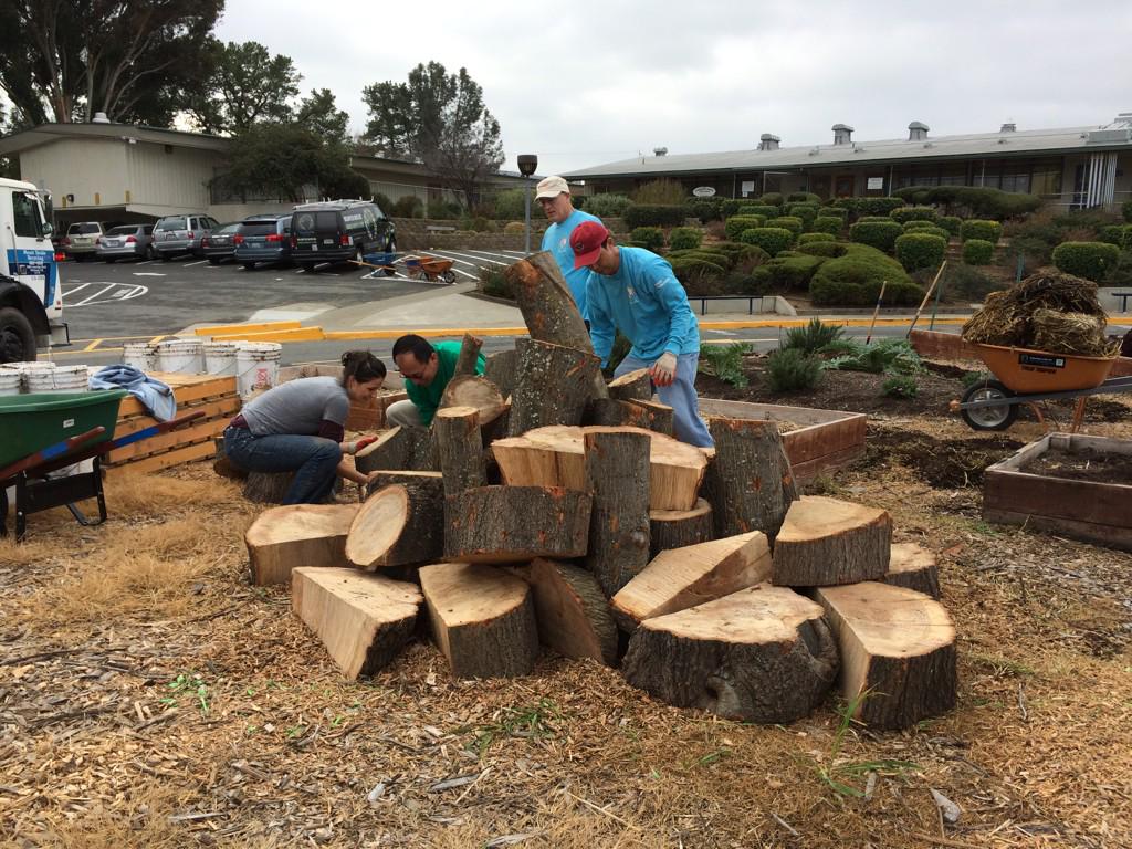 ctopfboman's tweet photo. #Kpcares4schools @kpnorcal @kpdiablo mlkday El Monte elementary permaculture school http://t.co/xg4lOEWD2F