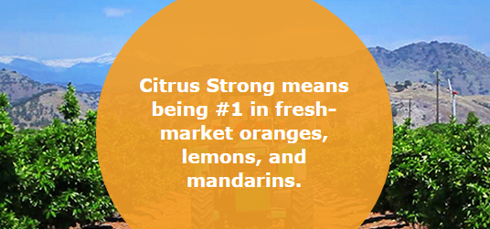 CitrusStrong's tweet photo. RT if you agree! #CACitrusStrong http://t.co/HzTjnVosjS