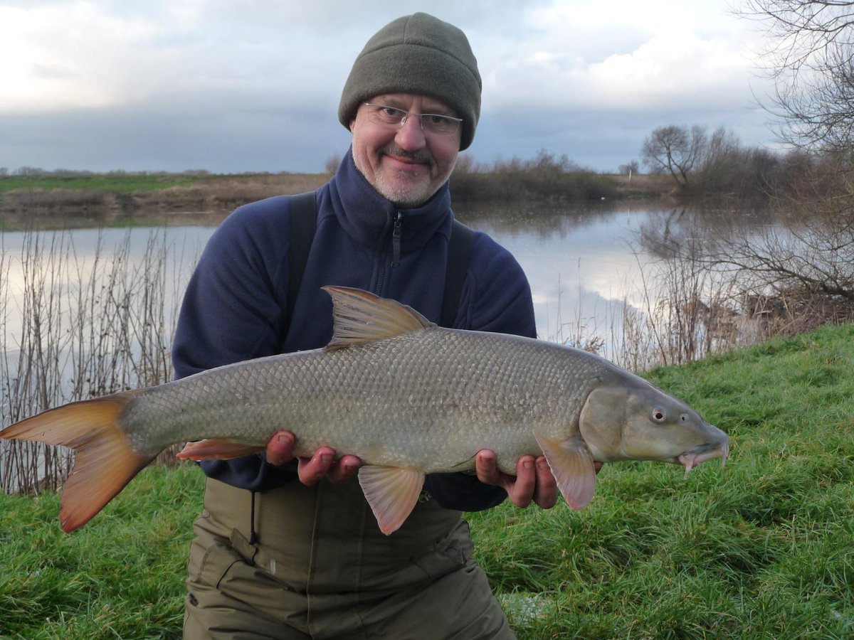 barbelplus's tweet photo. Special fish caught in freezing conditions on Sun 18th Jan on the none tidal Trent 10lb 2oz #barbelfishing http://t.co/f3ldRqxlIA