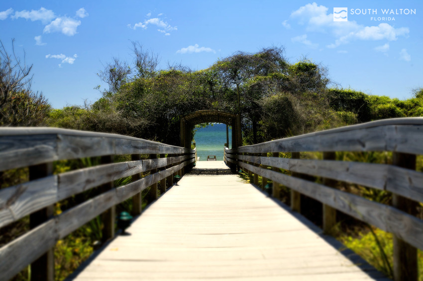 SouthWalton's tweet photo. A favorite #PerfectSWPath, #Seagrove reminds us just how beautiful #SouthWalton is everyday! http://t.co/Bvcnrpg3ZK http://t.co/H5Nf6uDZus