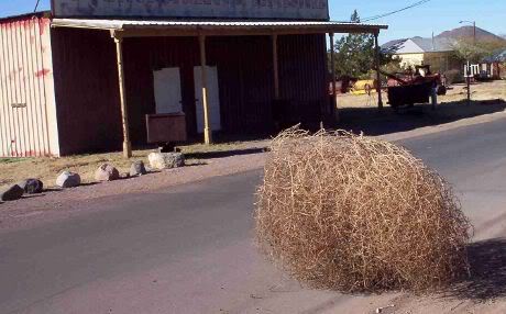 Nacho Vegas tweet media