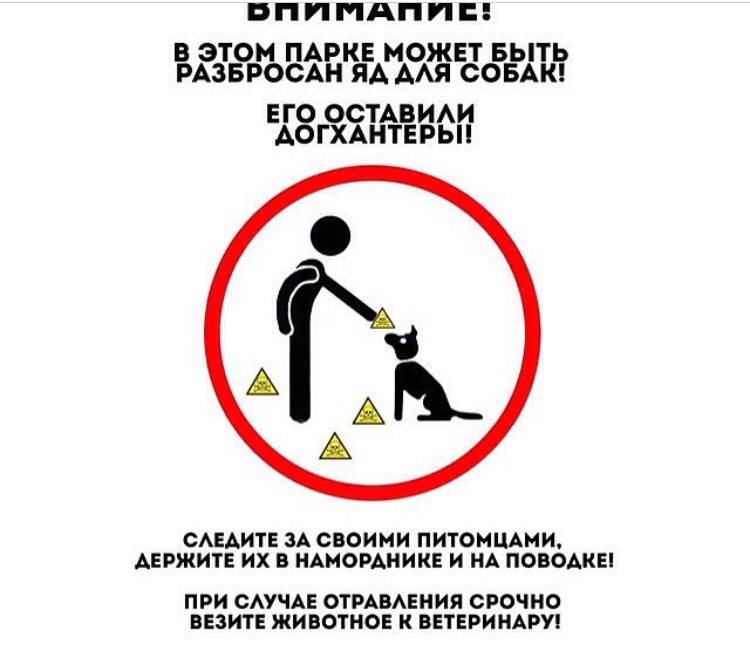 polozovs's tweet image. Внимание всех, кому небезразлична жизнь животных! В городе орудуют убийцы собак.
Сейчас RT очень важен