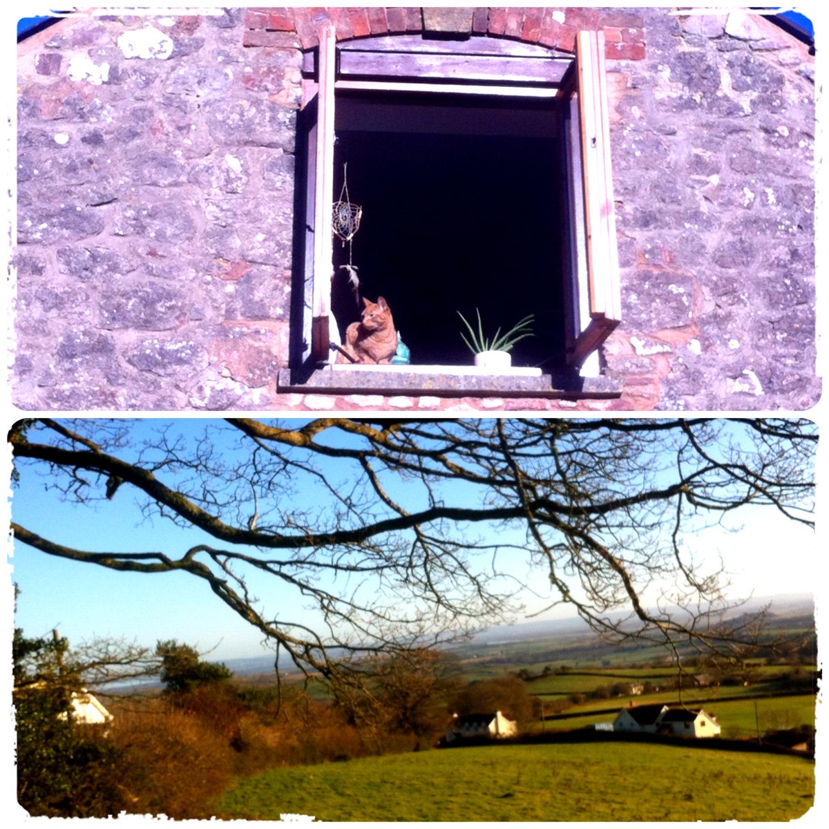 Parsonage_Farm's tweet image. Beautiful blue sky winter morning on the @Quantockhills . Even the neighbour's cat is enjoying. #wintersun #somerset