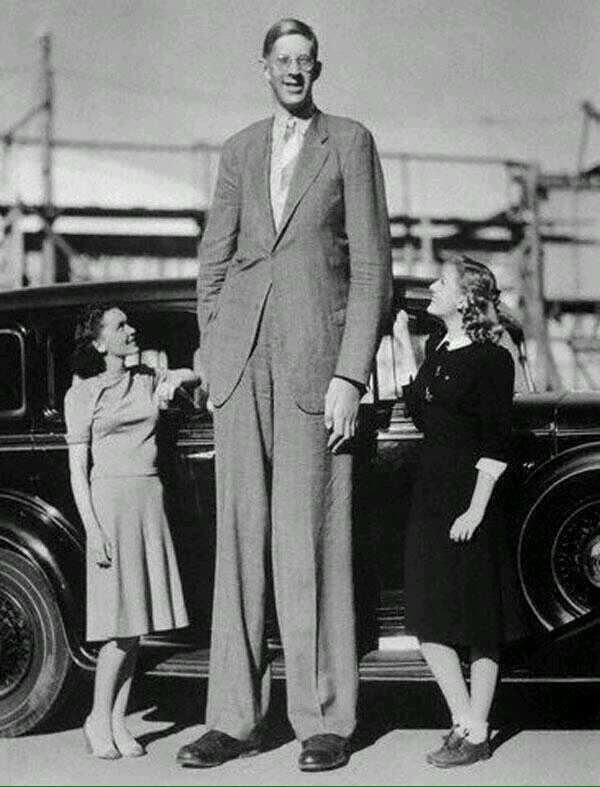 CoinWuTang's tweet photo. Robert Wadlow, el Gigante de Illinois, es la persona más alta de la historia (2`72 m) 1940. http://t.co/qOFYyS8yrt