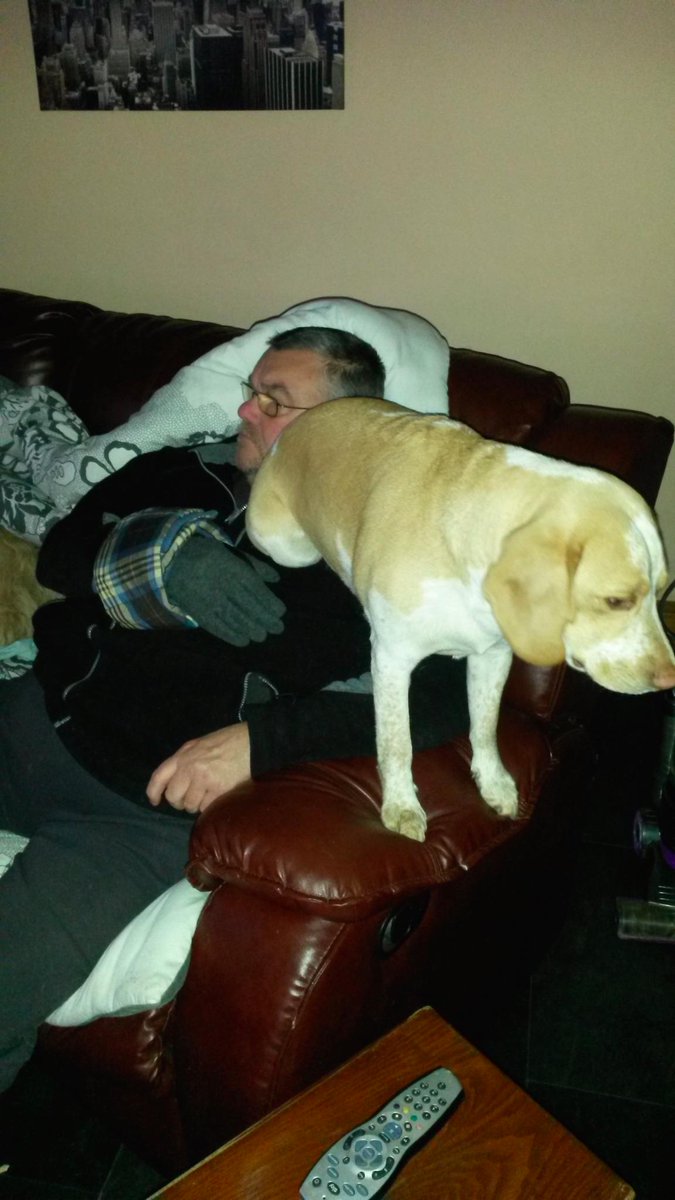 SamBeaglemania tweet picture