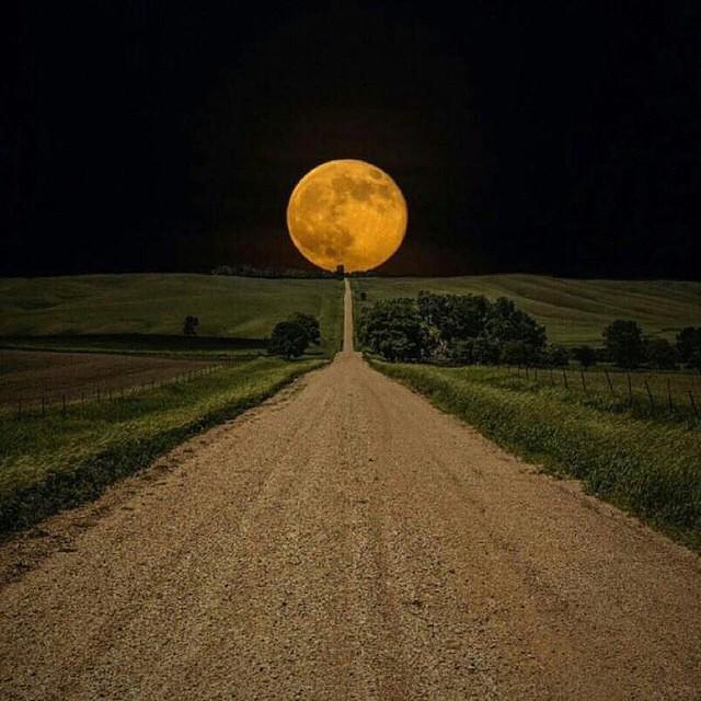 High On Life™ tweet media