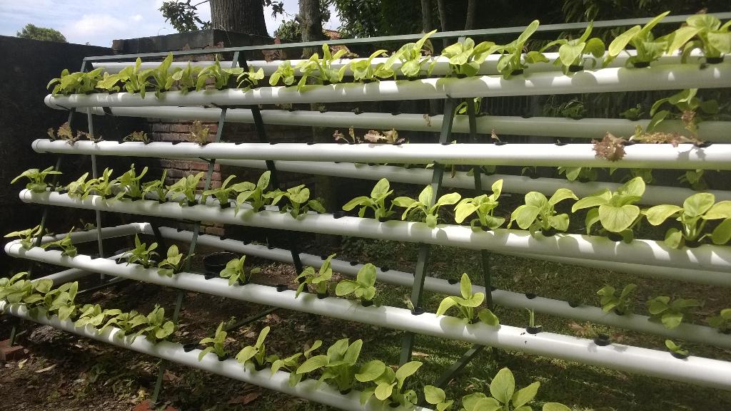Pipa PVC bekas bisa jadi media tanam #hydroponic kereen #ayodaurulang @BDGcleanaction <a href="/bdgberkebun/">Bandung Berkebun</a>