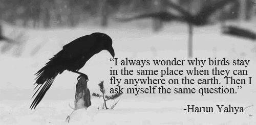 rob_svrn's tweet photo. Ask yourself this question.. http://t.co/BtXJJTWBcS