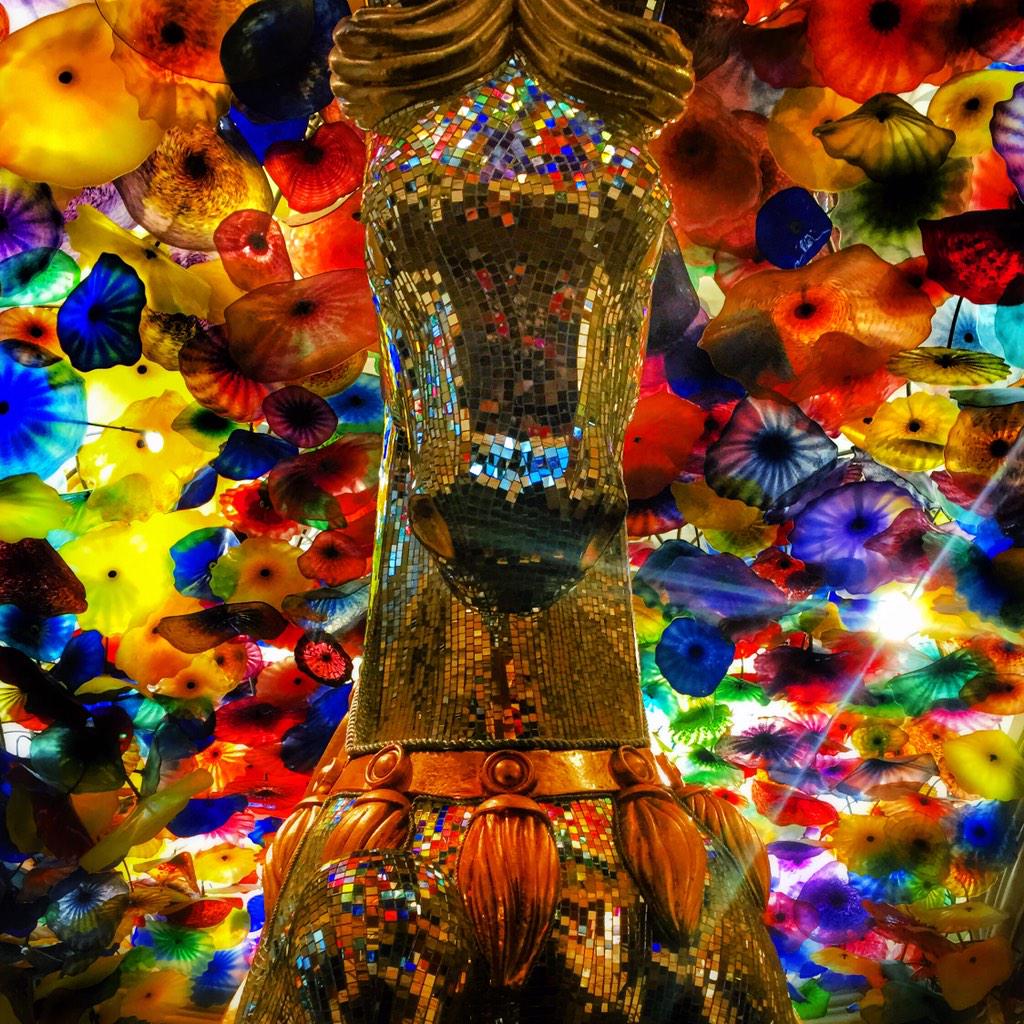 patribarry's tweet photo. “@Bellagio: Start your week with something Beautiful! http://t.co/ijFfvf3eFh" estaria necesitando un poco de esto