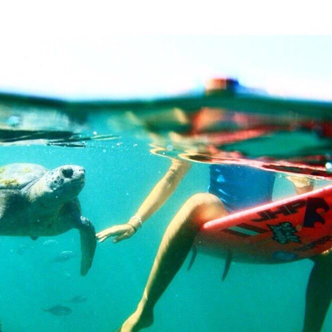 solsalsurf's tweet photo. @thesurfnomad ... 😍 http://t.co/3ikkbQ097n