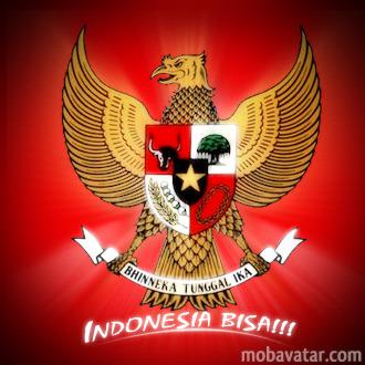 bembinhus's tweet photo. INDONESIA RAYA http://t.co/zR7X11f9CN