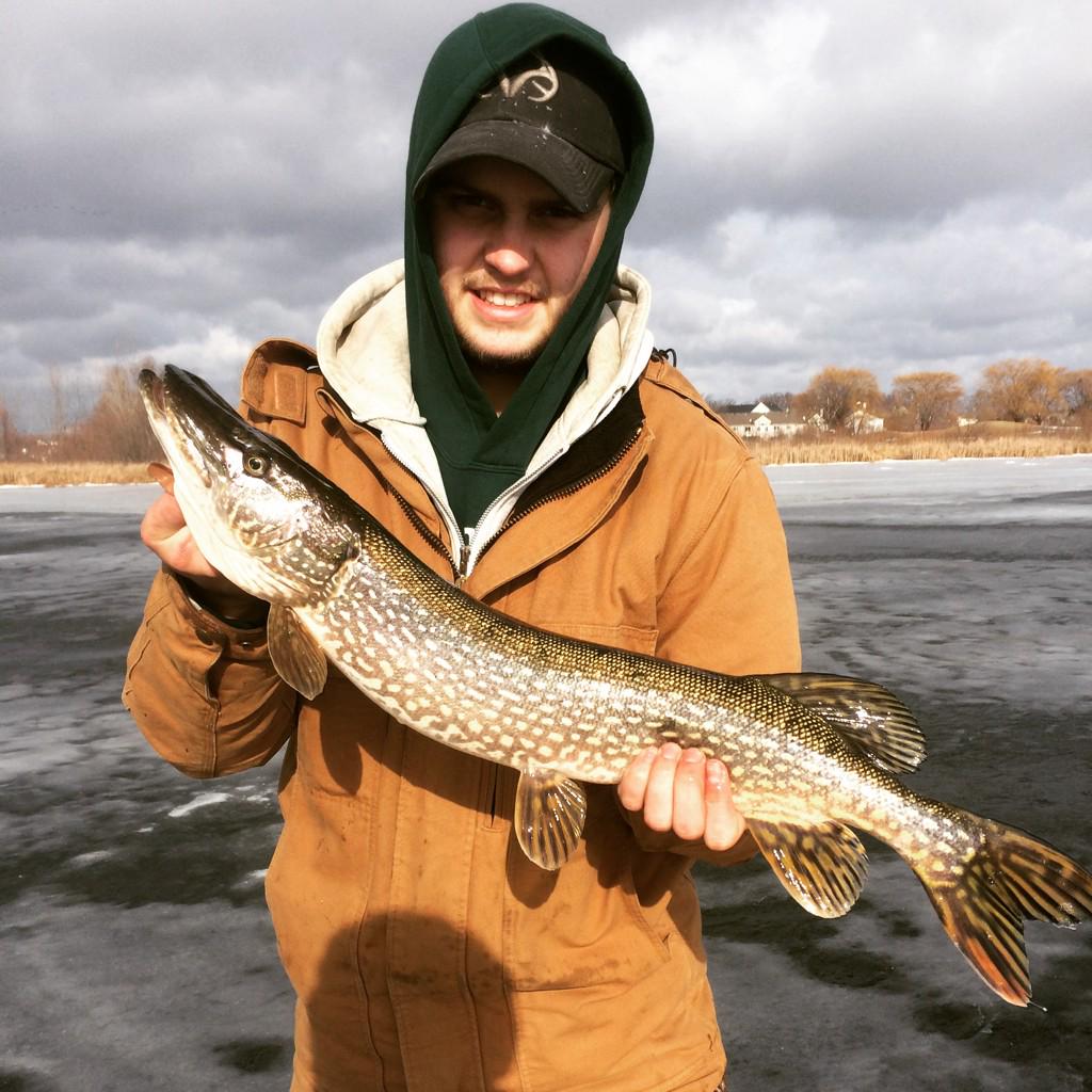 macguiders's tweet image. Yellows all day