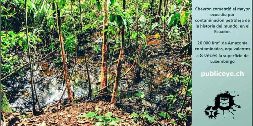 An vielen Stellen des Amazonas-Gebietes in Ecuador tritt abgepumptes Rohöl wieder an die Oberfläche