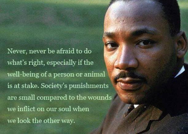 Ms_Schultz9's tweet photo. Never, never be afraid to do what is #right. ~ Dr. Martin Luther King, Jr. #QuoteOfTheDay #MLK #ChooseTheRight http://t.co/loFgH6qalI