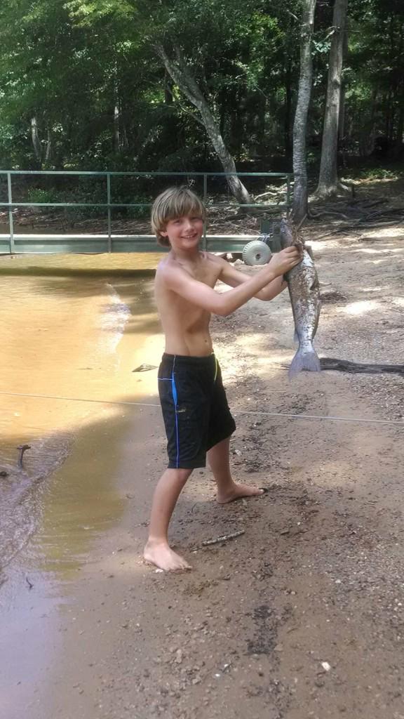 MengCharlie's tweet image. 5 pounder