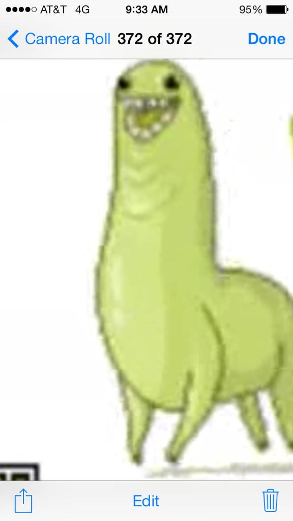 MengCharlie's tweet image. What is this thing and also follow me on vine (Charlie)