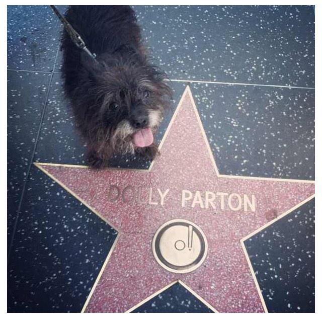 Happy birthday, and Dolly Parton! 