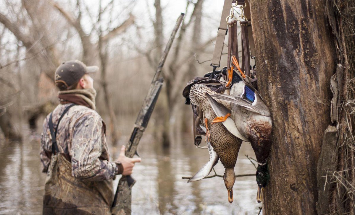 MR_Outfitters's tweet photo. I guess you could call me a tree hugger... http://t.co/HQTwWSwkMM