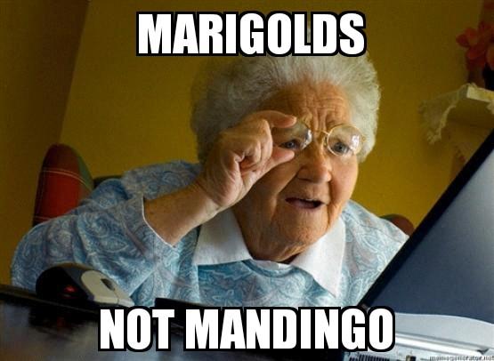 MemeFunDaily's tweet image. 