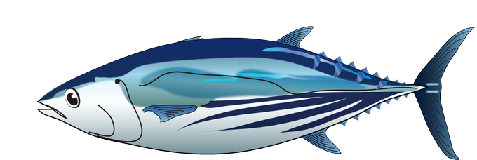 カツオのtwitterイラスト検索結果