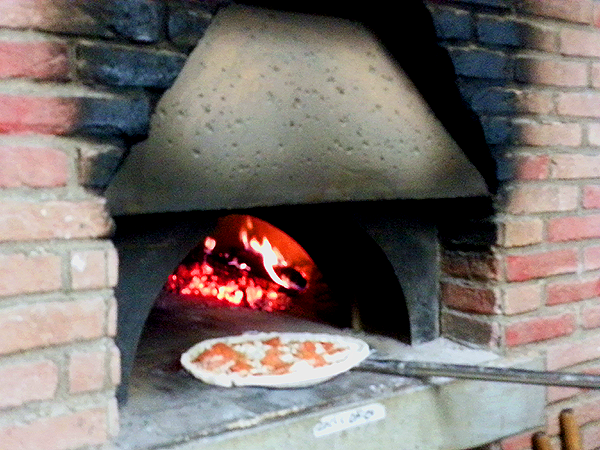 Convection wall ovens reviews