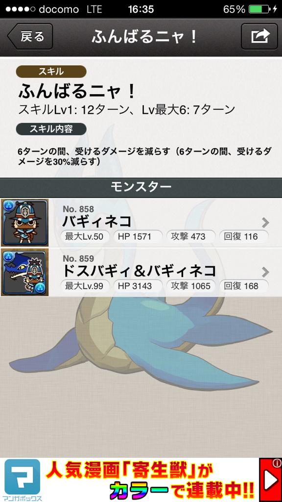 バギィネコ バギィネコ