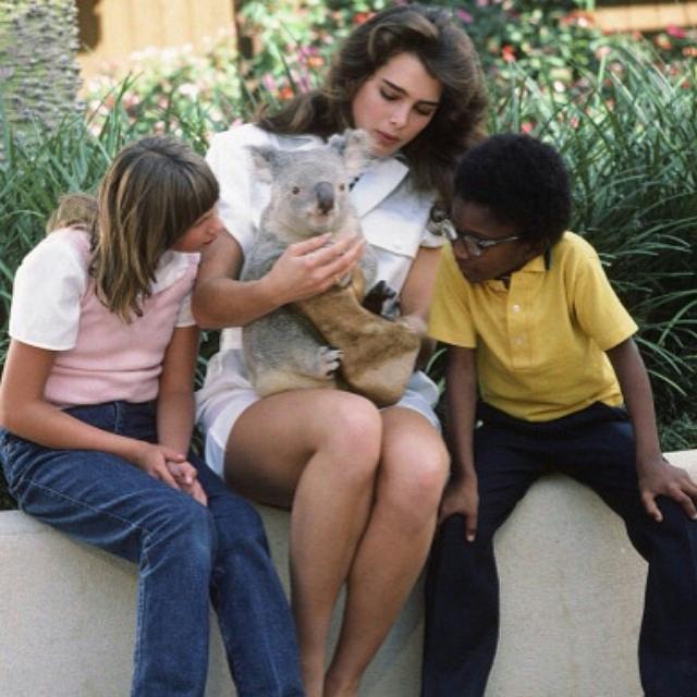 ShieldsBrookee's tweet image. Children and animals are life, they are special to me ♥ ♥