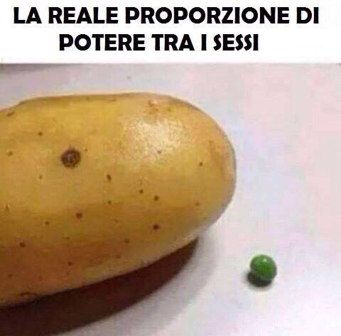 bonasorta's tweet photo. http://t.co/gqwc58EA1d
