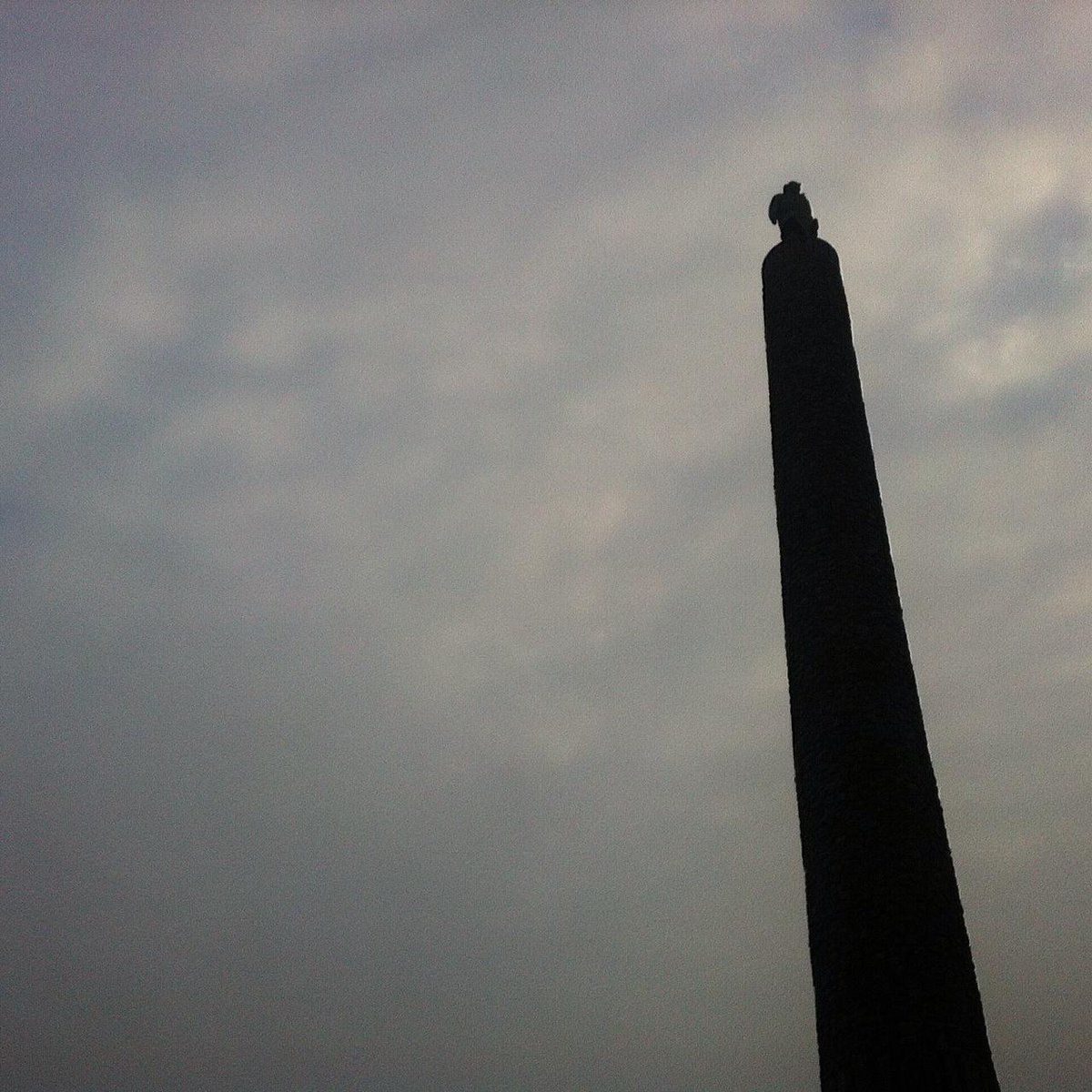 Column van <a href="/SterreHe/">Herre Stegenga</a> Wat denkt hij daar hoog op zijn zuil op het Stadhuisplein? onslelystad.nl/gedachten-over…