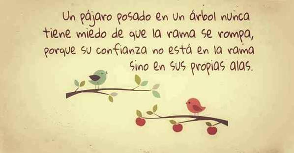 manuelmas1989's tweet photo. Un pajaro posado en un árbol nunca tiene miedo... http://t.co/9gMenb7ZBh