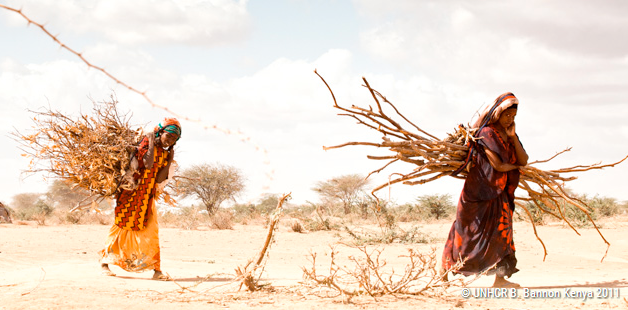 EUExpo2015's tweet photo. +1/3 of world's population relies on traditional fuels for their energy needs http://t.co/Uus7BIC6qV #FAOstats #SAFE http://t.co/U2w7lRpvyt