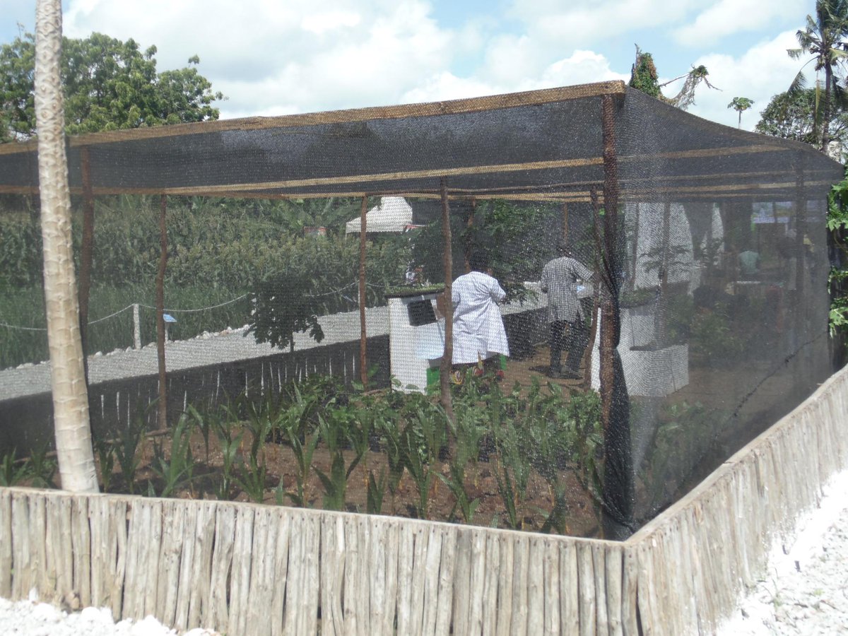 Amiran Kenya (@amiran_kenya) on Twitter photo #KOT #FarmingIsCool
Customized Shade net structure. <a href="/mkulimayoung/">Mkulima Young</a> @mkulimaniujuzi <a href="/shambashapeup/">Shamba Shape Up</a> <a href="/seedsgold/">Seeds of Gold</a> #KOT #FarmingIsCool
Customized Shade net structure. <a href="/mkulimayoung/">Mkulima Young</a> @mkulimaniujuzi <a href="/shambashapeup/">Shamba Shape Up</a> <a href="/seedsgold/">Seeds of Gold</a>