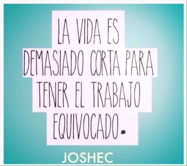 jmunoz_tuxpad's tweet image. #lifecoaching #JOSHEC