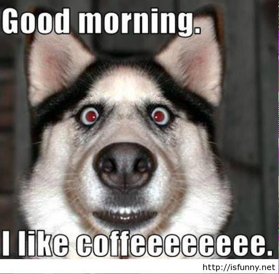 kevinpatrick's tweet image. Good morning @Pretty_Southern! #coffee