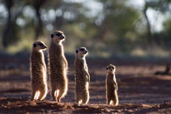 jun15xxx's tweet image. ชานยอลใบ้ตัวเมียแคดโคตรจะเหมือน
55555555555555555555555555555555555555555555555555555